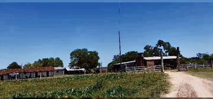 10.019 HA. ESTABLECIMIENTO EN SIMON BOLIVAR - CAAGUAZU