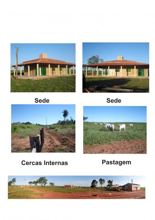 1.330 hectáreas para Soja y/o ganaderia totalmente formado! – zona Horqueta