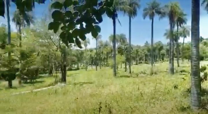 2HA. DE CAMPO EN ATYRA - ZONA COMANDANTE OJEDA